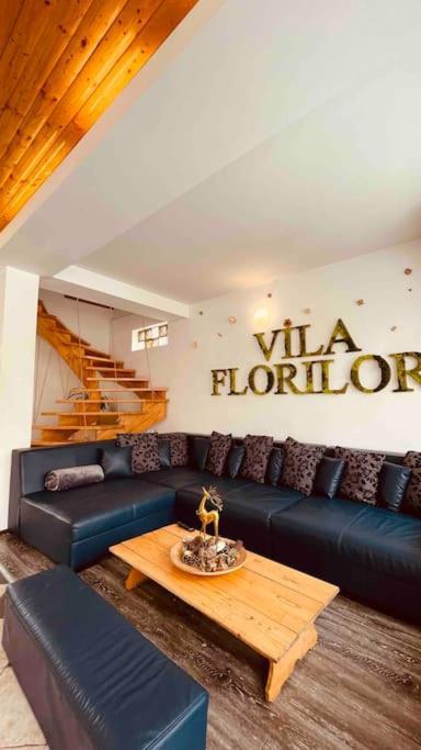Vila Florilor Buşteni Exterior foto